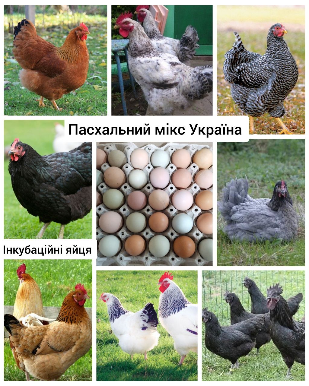 Мікс пасхальний яєць Україна