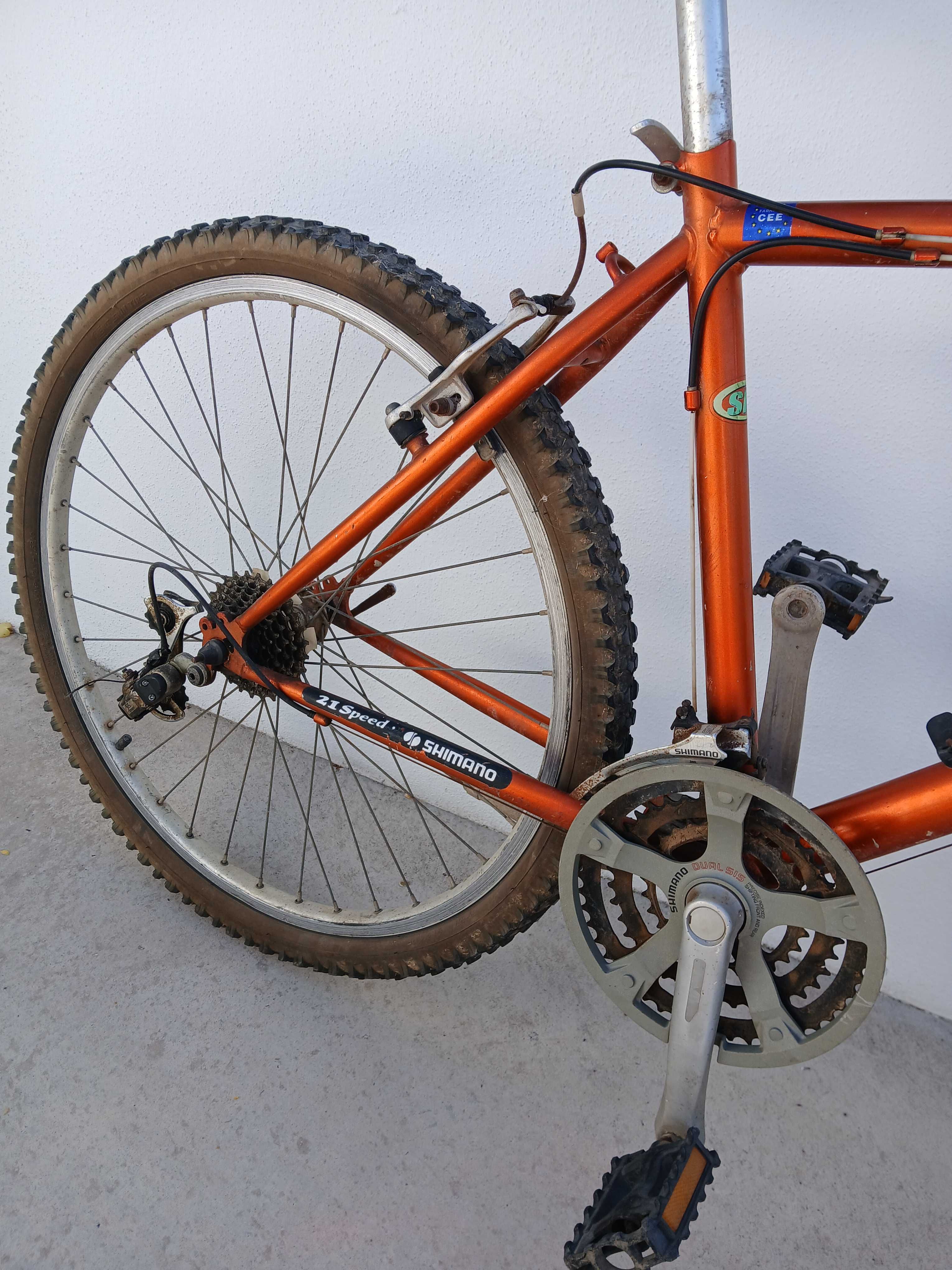 Bicicleta de adulto