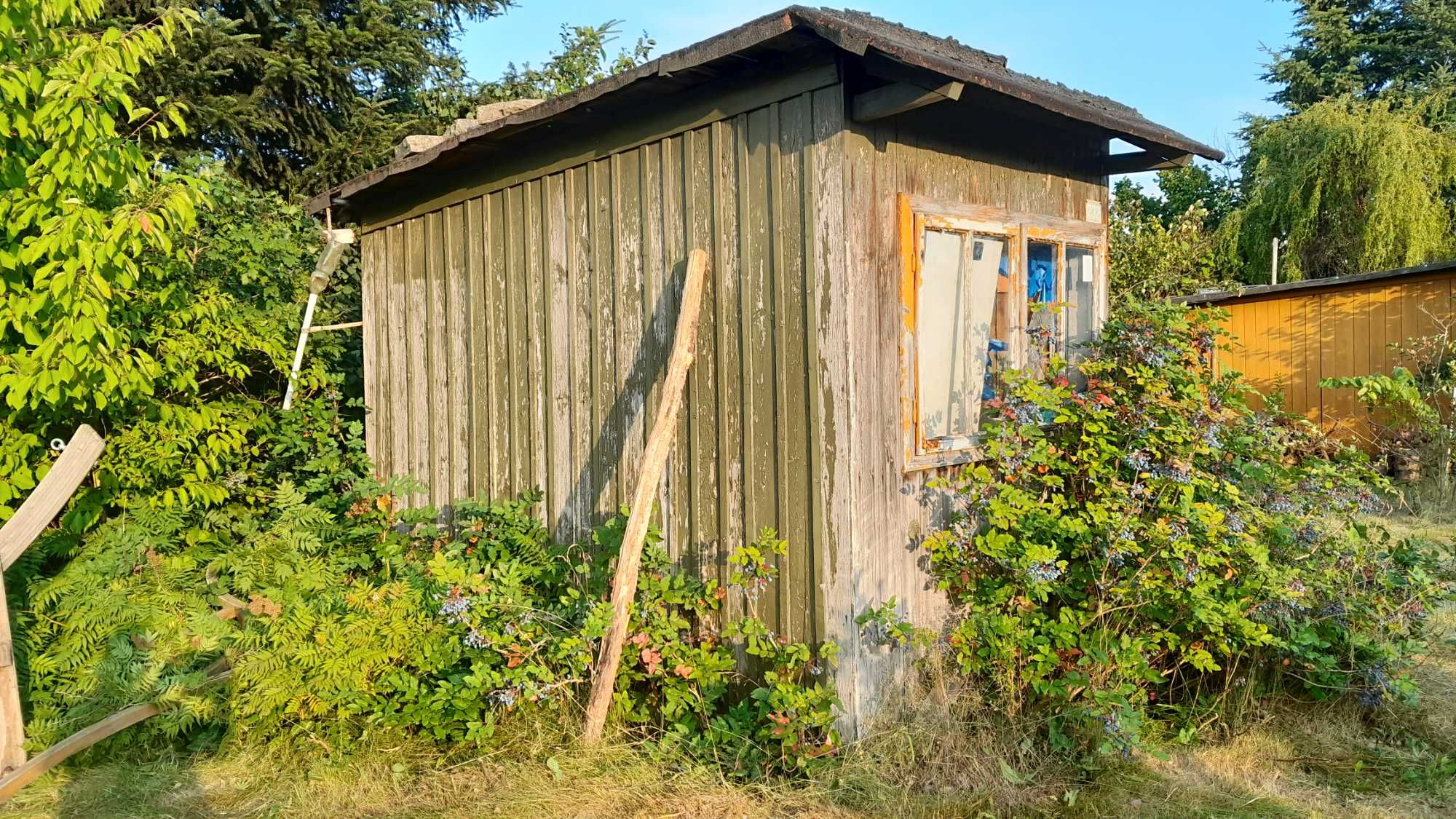 Altana drewniana do rozbiórki za darmo