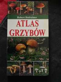 Atlas grzybow-R.Hofrichter
