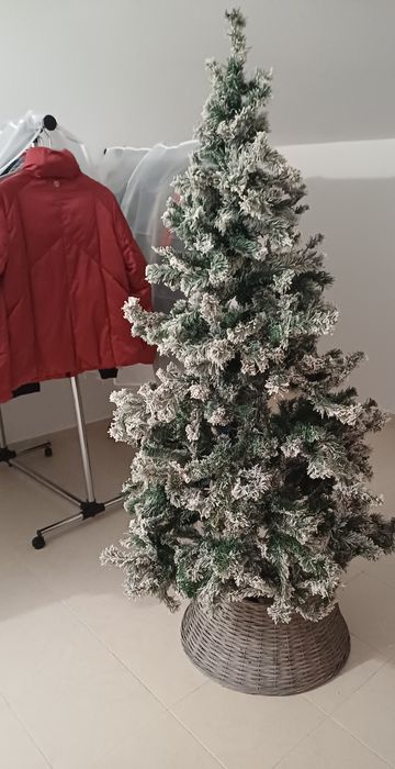 Árvore de Natal  nova