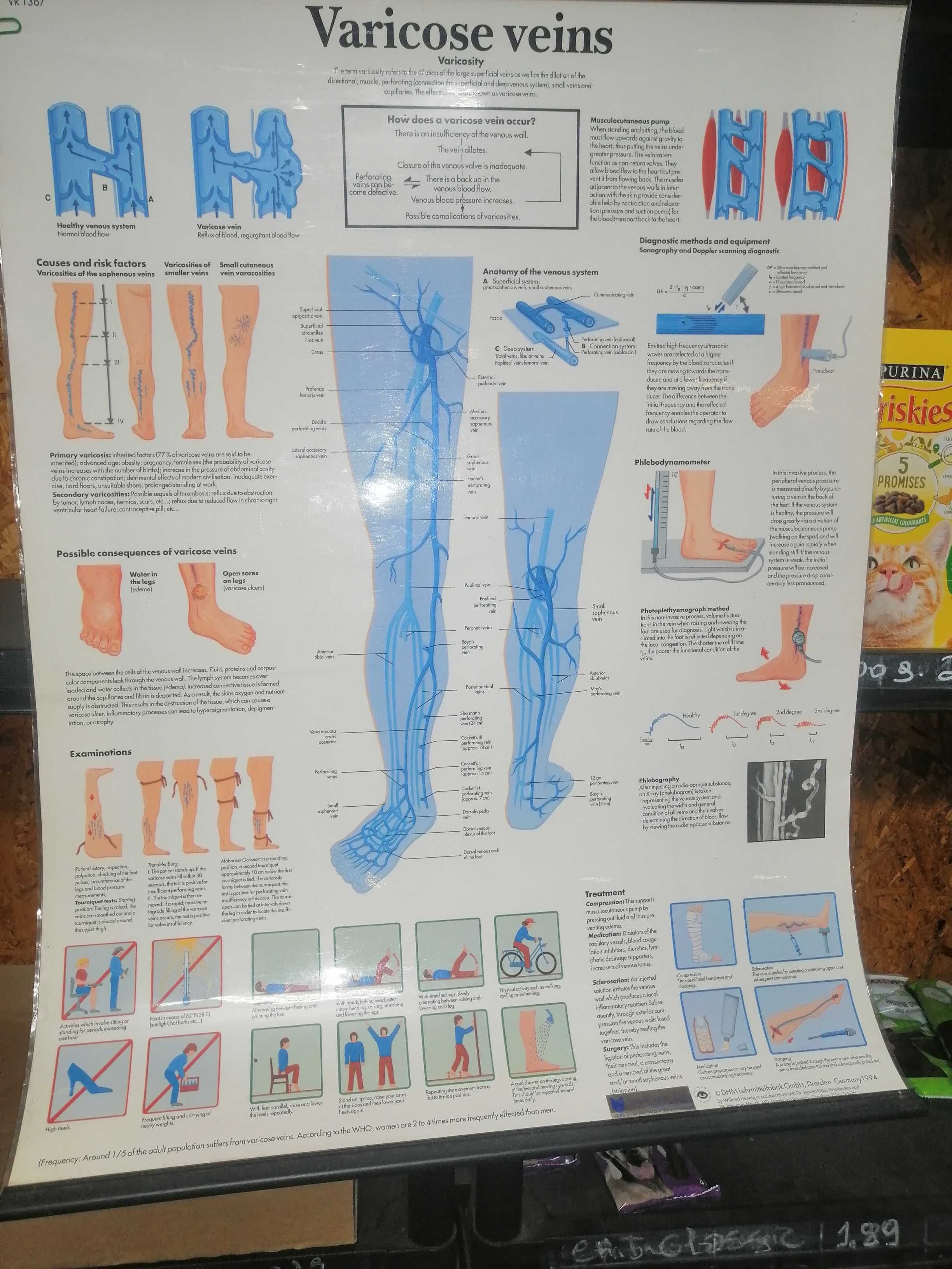 Mapa do corpo humano