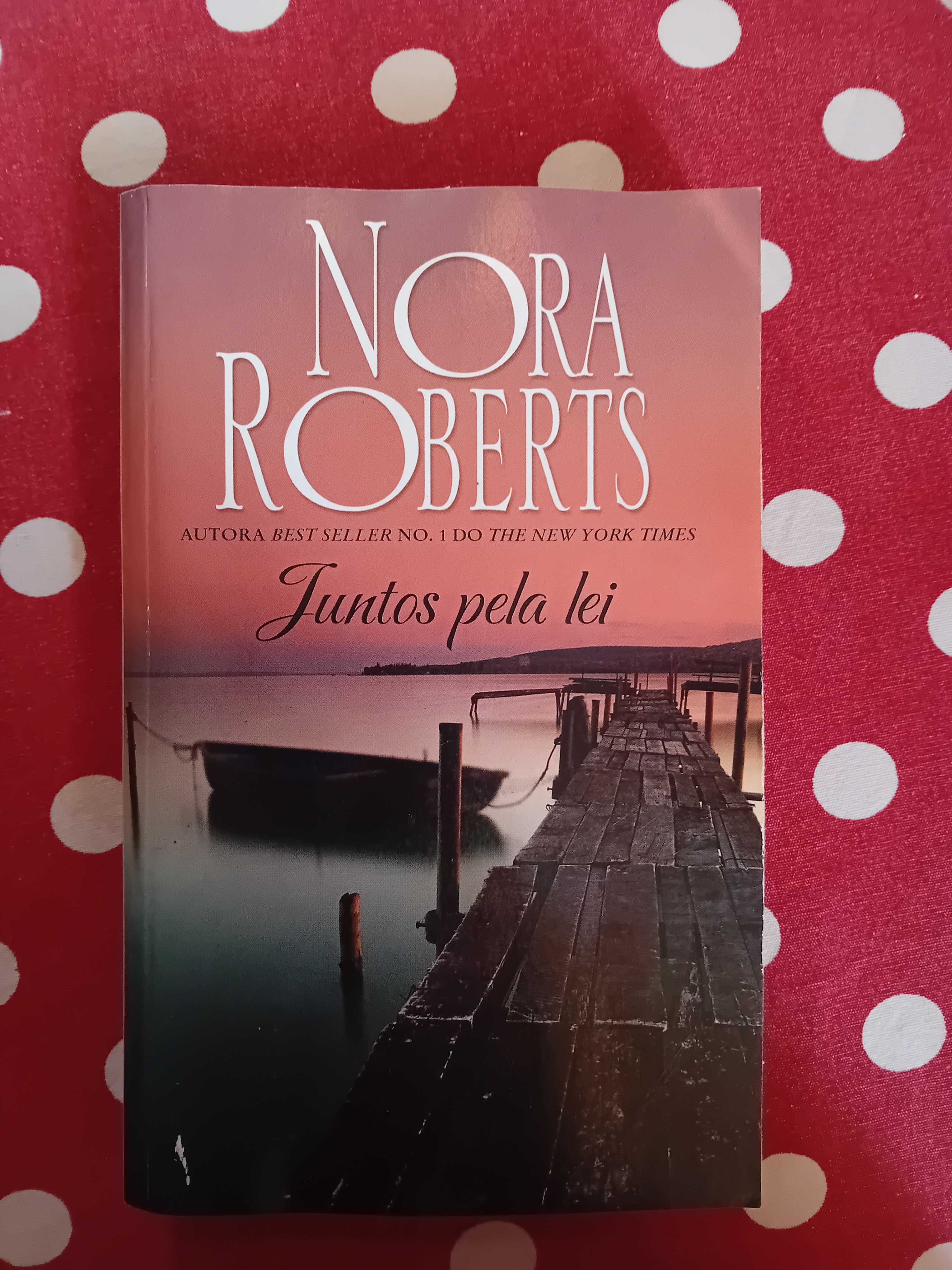 Juntos pela lei - Nora Roberts