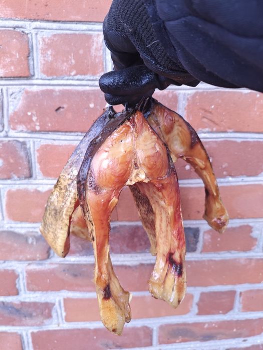 Продамо копченого товстолоба ,сома. Купимо сома під копчення ...