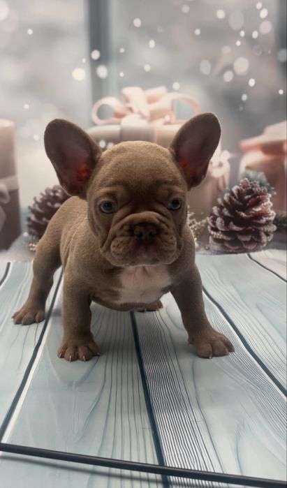 Мальчики есть выбор