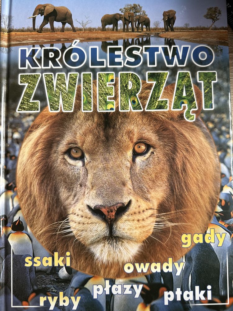 Królestwo zwierząt