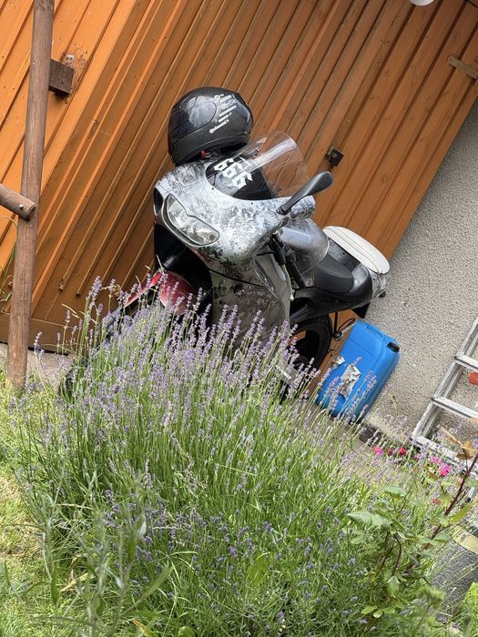 Aprilia rs 50 70 ccm