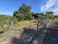 Terreno em Ericeira de 3036,00 m2