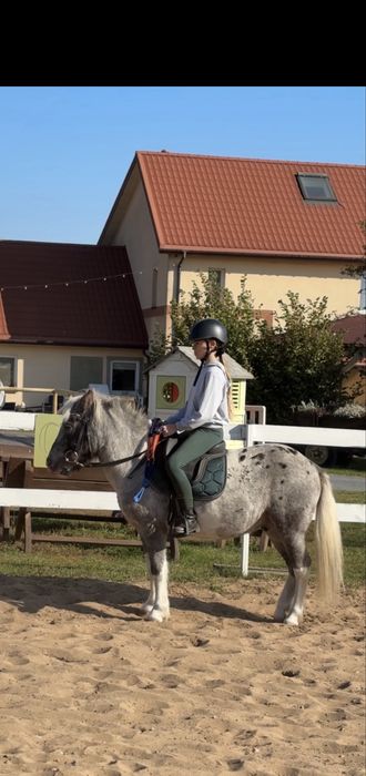 Super kucyk