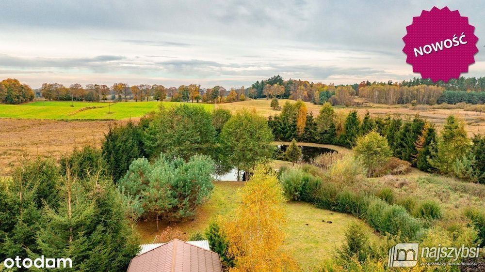 Rydzewo - dom na skraju wsi ze stawem