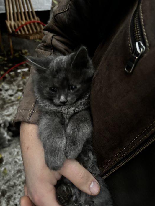 Хлопчик Безкоштовно