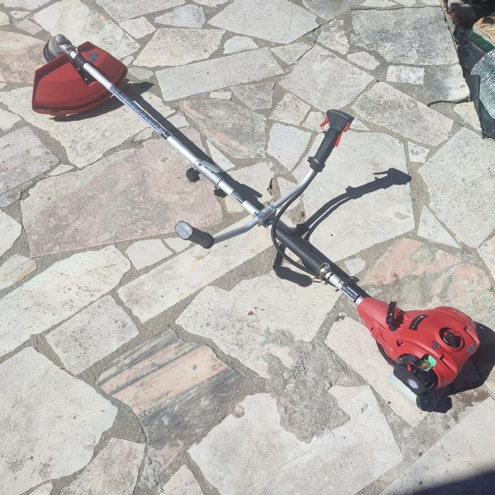 Rossadora a gasolina Einhell