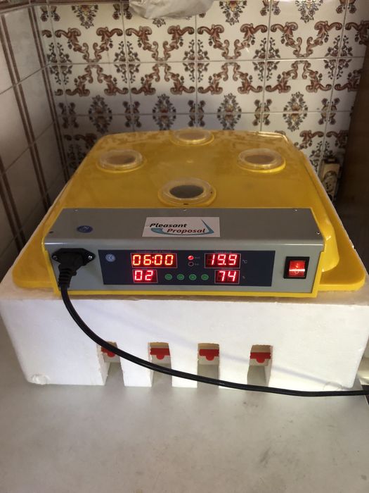 Chocadeira automática