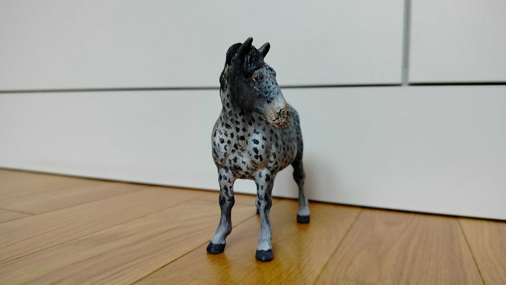 Custom klacz Suffolk Punch Mojo