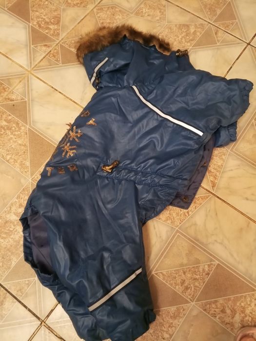 Зимняя куртка для собаки