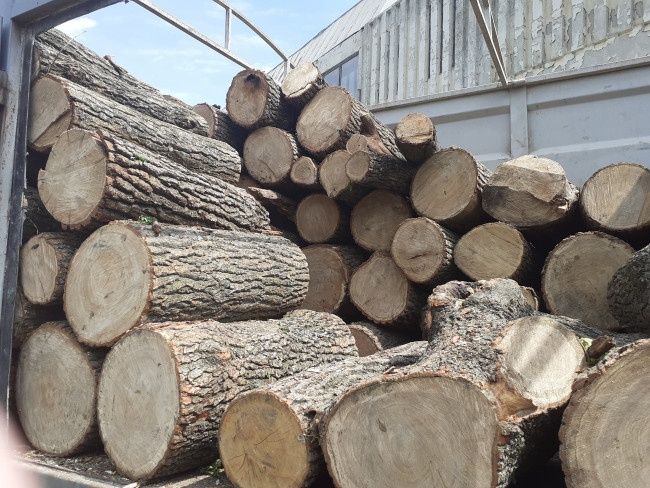 Дрова твердих порід, дуб, ясен, акація.