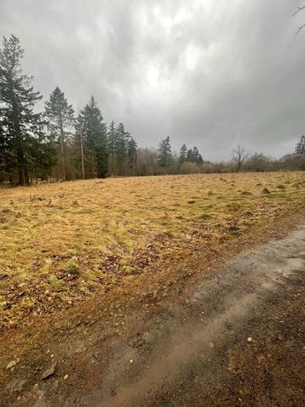 Działka budowlana z dużym potencjałem z cichą okolicą obok pałacu