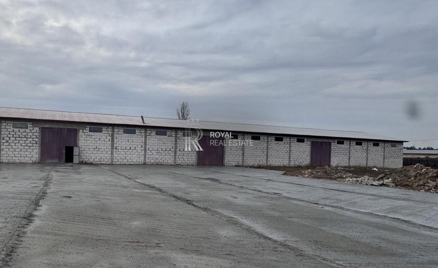 Продажа помещения Лебедевка 1000м2 Вышгородский