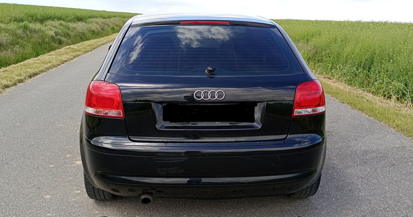 Audi A3 8P 1.6 MPI
