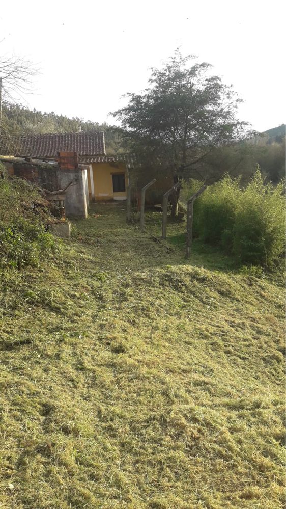 Vendo moradia para restaurar Amoreira (Abrantes)