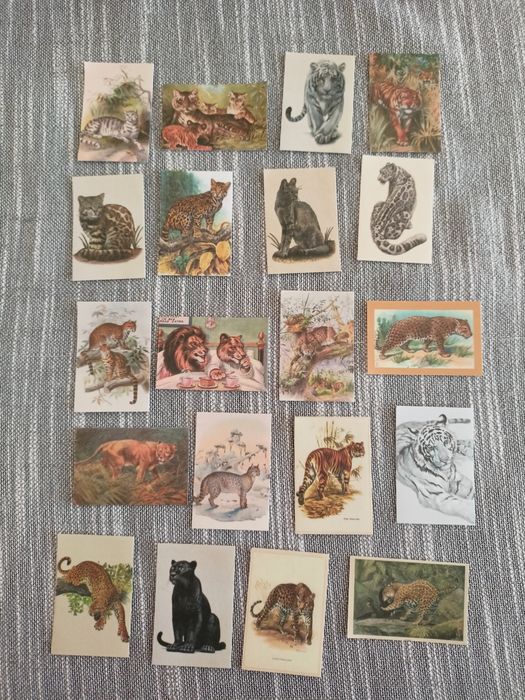 Naklejki - cena za całość