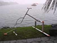 Aquaskipper , waterbird