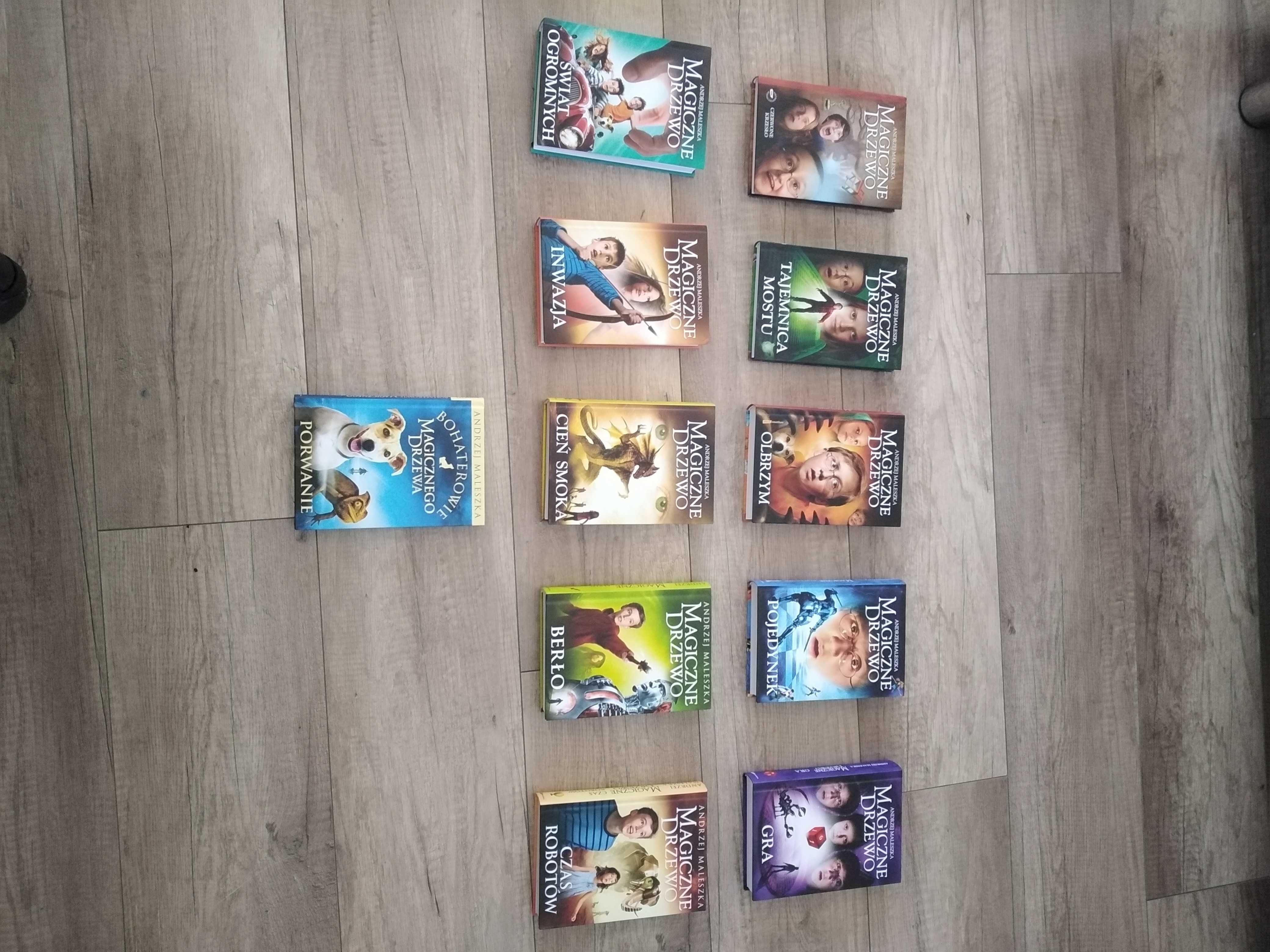 Książki Magiczne Drzewo JAK NOWE