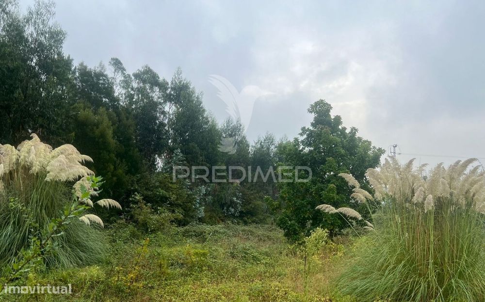 Terreno Urbano - Construção De Moradia - Moradia