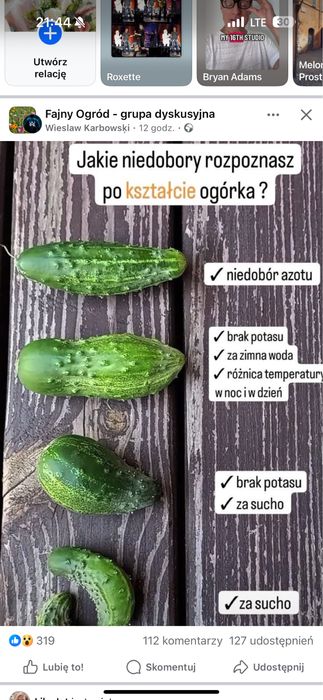 Mėska kurtka koszulowa XXL