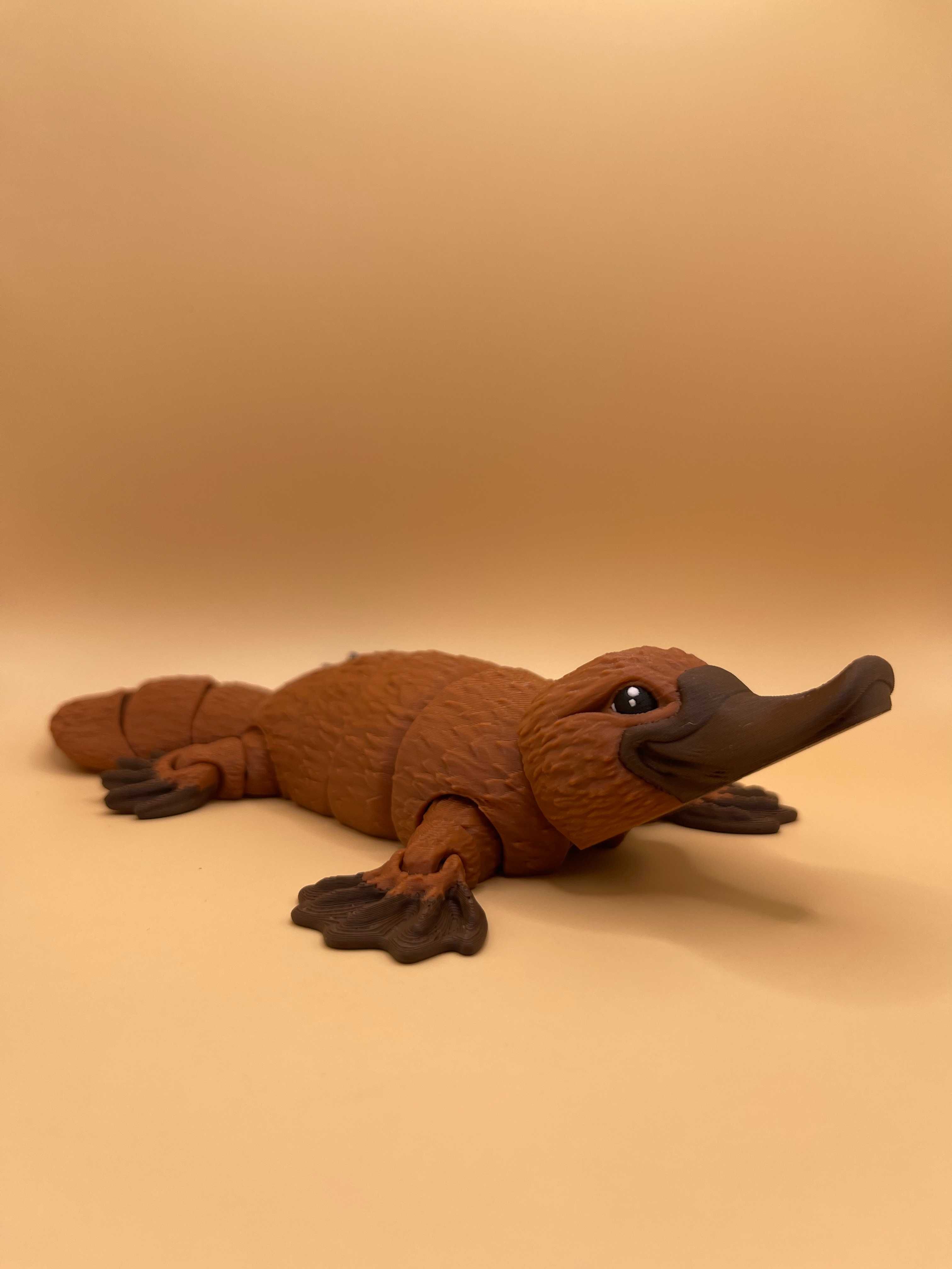 Figurka dziobak 3D "Flexi Platypus", zabawka