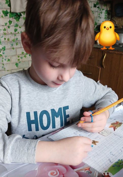 Логопед -Дефектолог. Автоматизація звуків. Підготовка до школи.