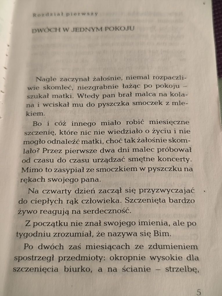Biały Bim Czarne Ucho. Gawriił Trojepolski