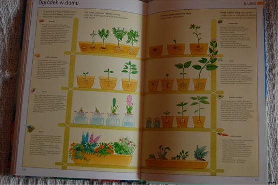 "Pierwsza encyklopedia szkolna" Marc Pellote