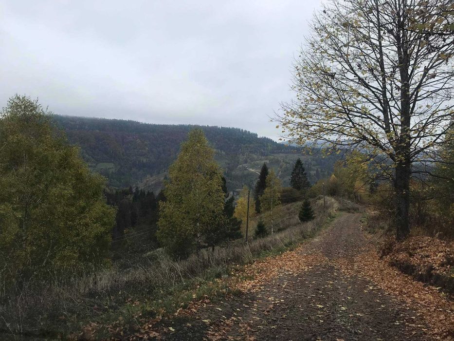 Продаж земельної ділянки Славсько ,Стрийського р-н,Львівської області