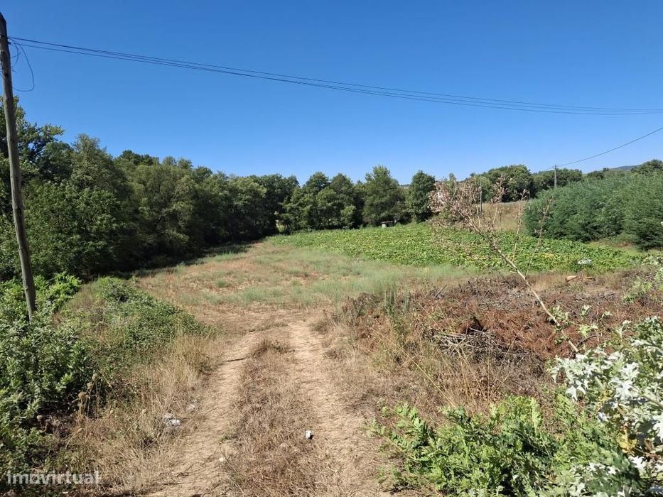 Terreno em Cerejo
