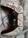 Aim controllers Ps5