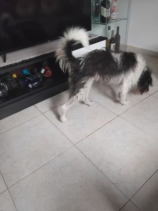 Doação  de um doação