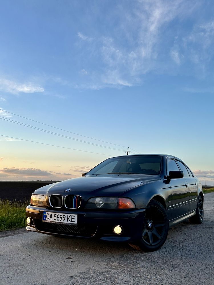 BMW 530d E39 (БЕЗ ДТП)