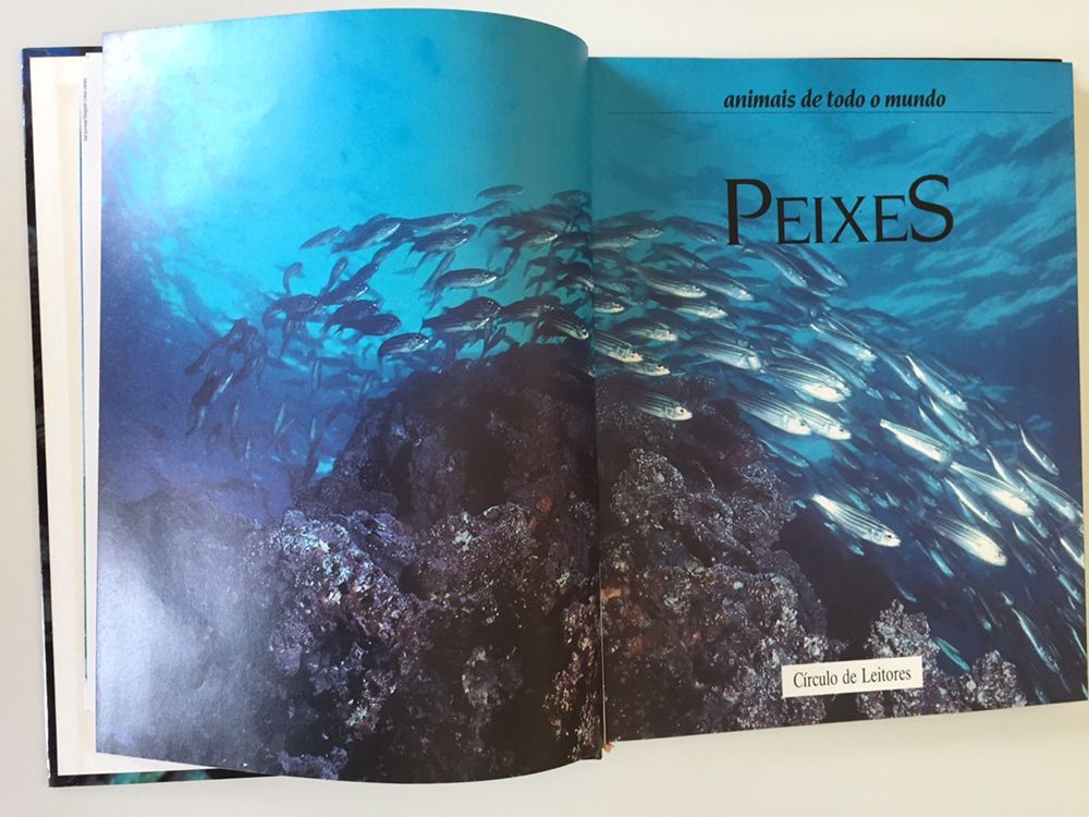 Peixes, Coleção animais de todo o mundo