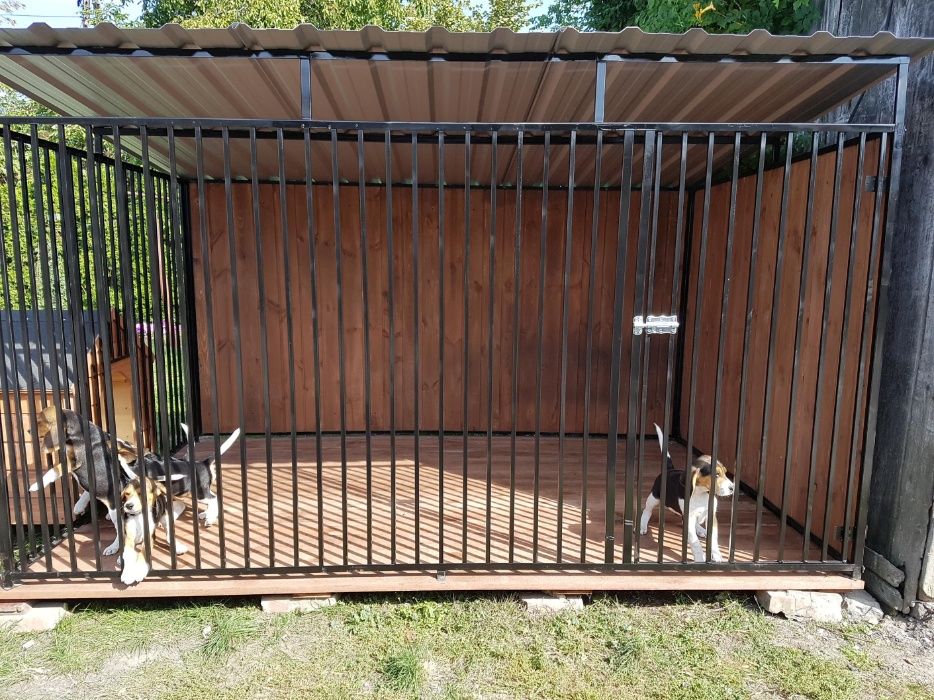 Kojec Klatka Buda Zagroda Box 3x2 Montaż Gratis