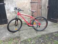 Rower Kross Hexagon