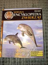 Wielka encyklopedia zwierząt. Ssaki.