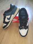 nike dunk low retro nas