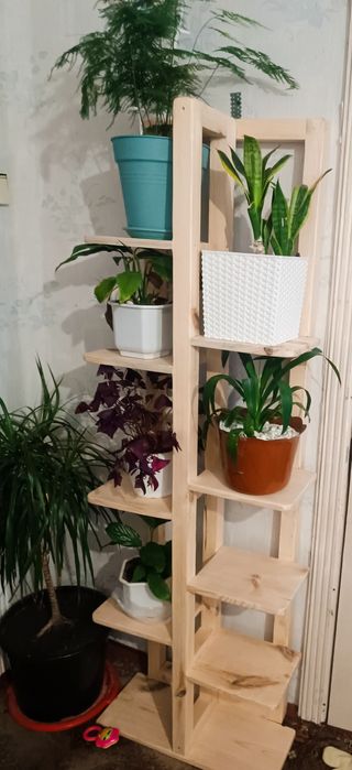 Деревяний туалет,дерев'яний літній душ,собача будка,інші вироби