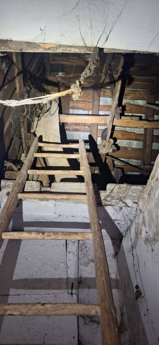 Opróżnianie piwnic strychów mieszkań