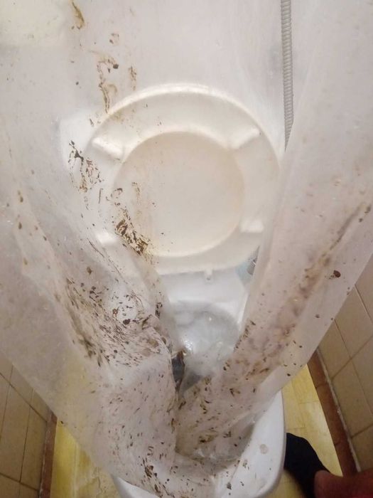 водонагреватель, любой фирмы. Профилактика чистка