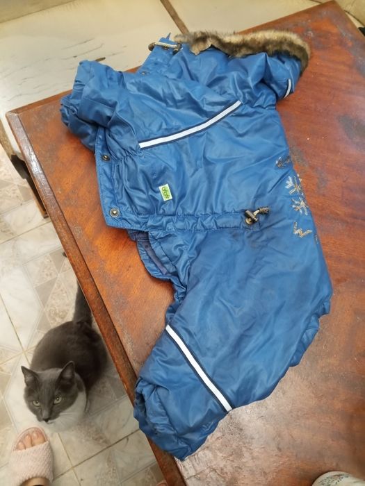 Зимняя куртка для собаки