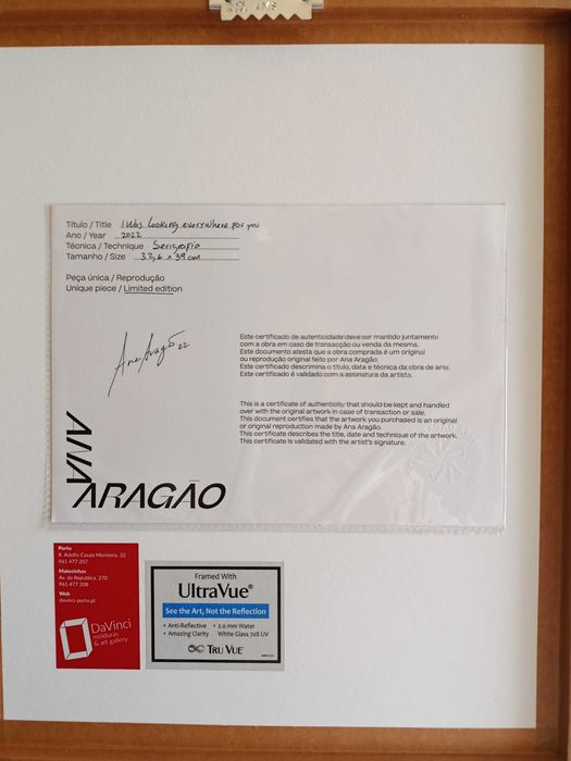 Quadro de Ana Aragão