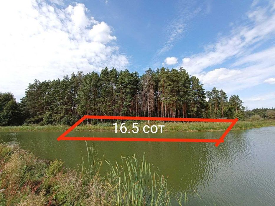 Продам лісову ділянку з виходом до води