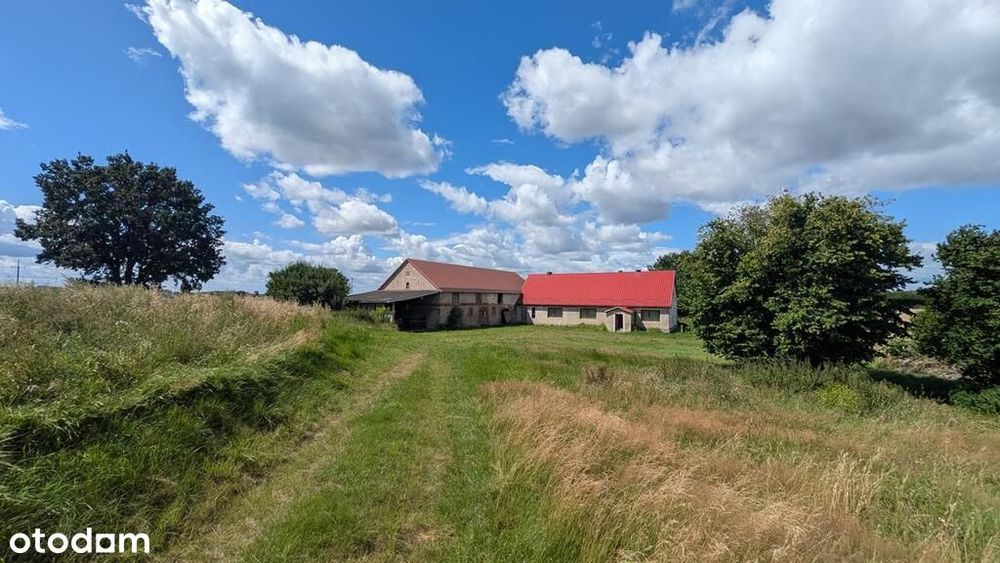 Na sprzedaż siedlisko na Pojezierzu Drawskim.